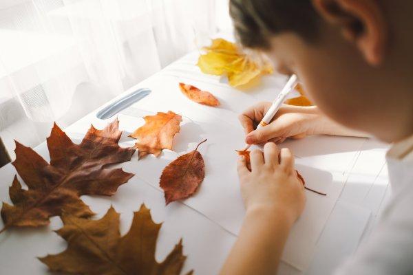 Cómo dibujar hojas: guía práctica para ilustrar el mundo vegetal